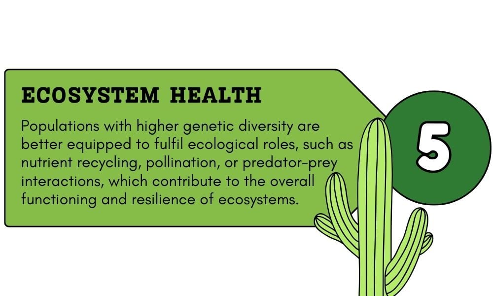 Genetic Diversity - Advantages and Disadvantages - Earth How