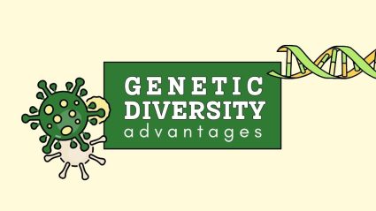 Genetic Diversity – Advantages and Disadvantages