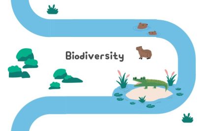 River Biodiversity