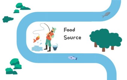 River Food Source