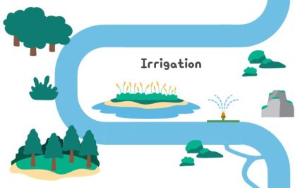 River Irrigation