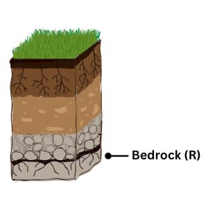 Bedrock Layer