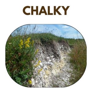 Chalky Soils