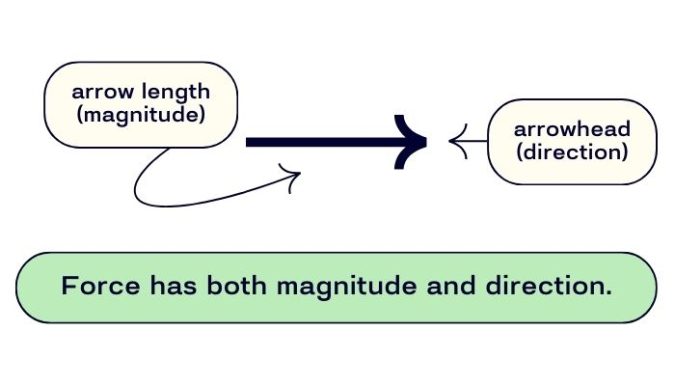 Force Magnitude Direction