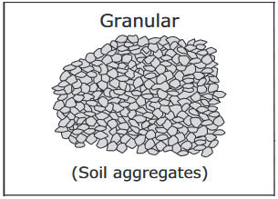 Granular Soil Structure