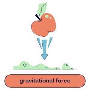 Gravitational Force