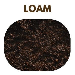 Loam Soils
