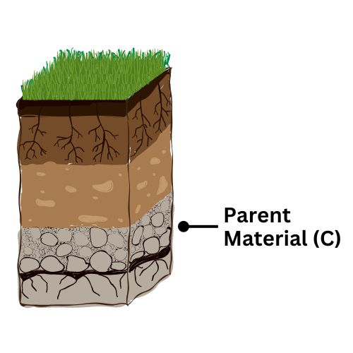 What Are Soil Horizons? - Earth How