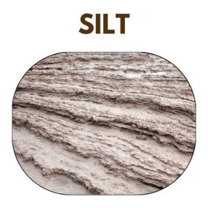 Silt Soils