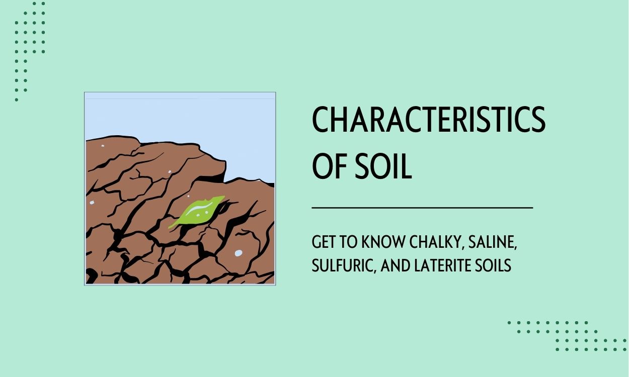 Soil Characteristics Feature