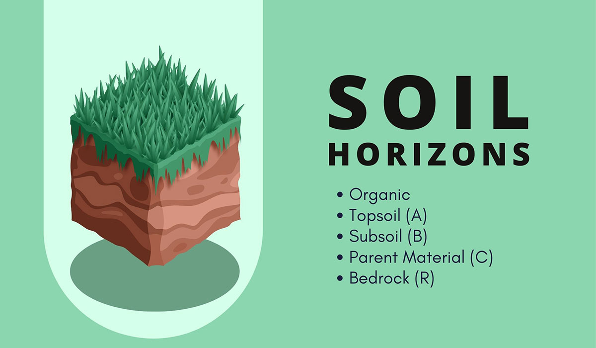 Soil Horizons