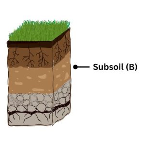Subsoil Layer