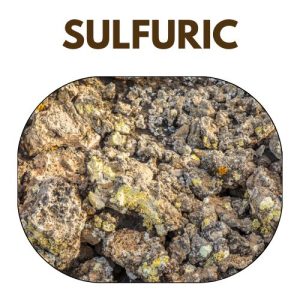 Sulfuric Soils