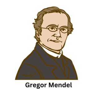 Gregor Mendel