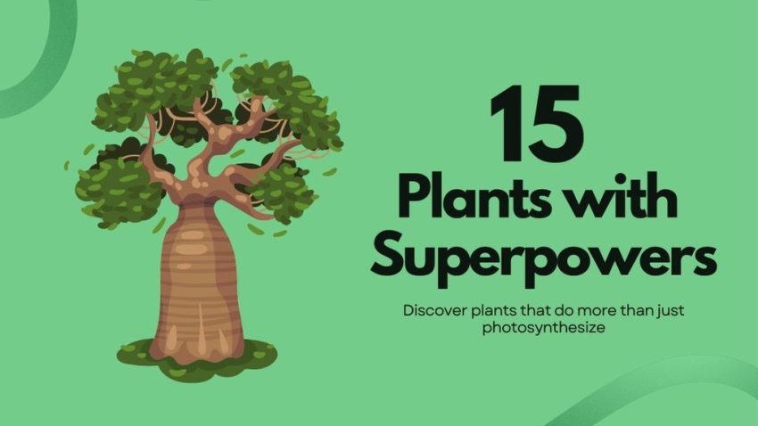 Plants with Superpowers