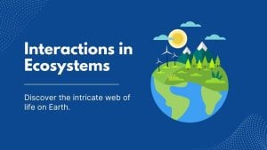 Interactions in Ecosystems