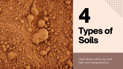 4 Types of Soils