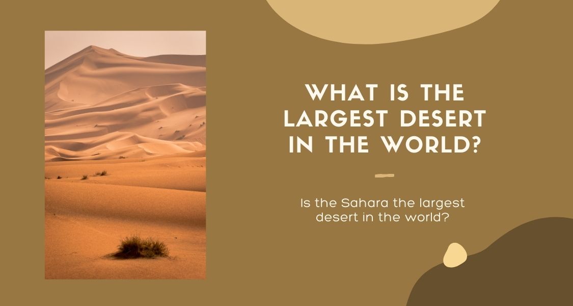 What is the Largest Desert in the World